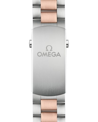 Omega Seamaster Planet Ocean 600M 45,5 mm, acero - oro Sedna™ con acero - oro Sedna™ 215.20.46.51.03.001 - Imagen 3