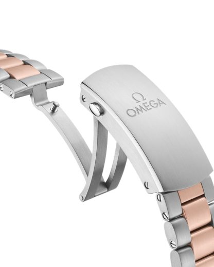 Omega Seamaster Planet Ocean 600M 45,5 mm, acero - oro Sedna™ con acero - oro Sedna™ 215.20.46.51.03.001 - Imagen 4